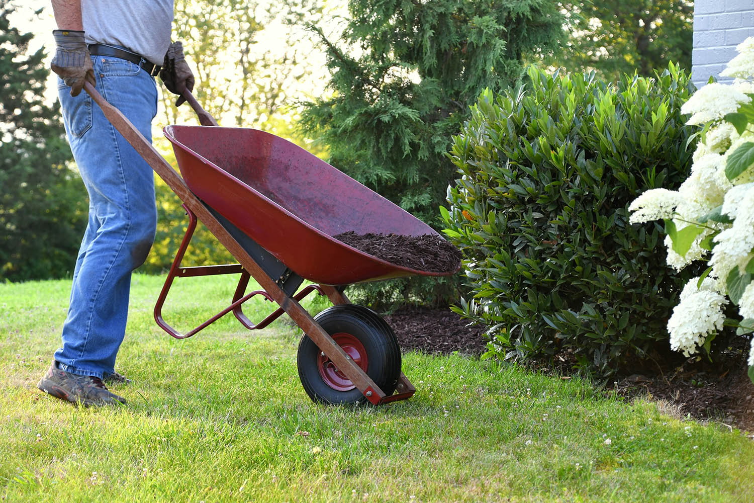 Yard Maintenance Tasks that You're Going to Want a Dumpster For
