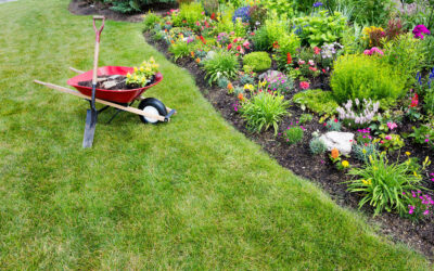 Streamlining Your Landscaping Project with Efficient Material Delivery: Guide from Dumpster Rentals of Mukwonago, WI