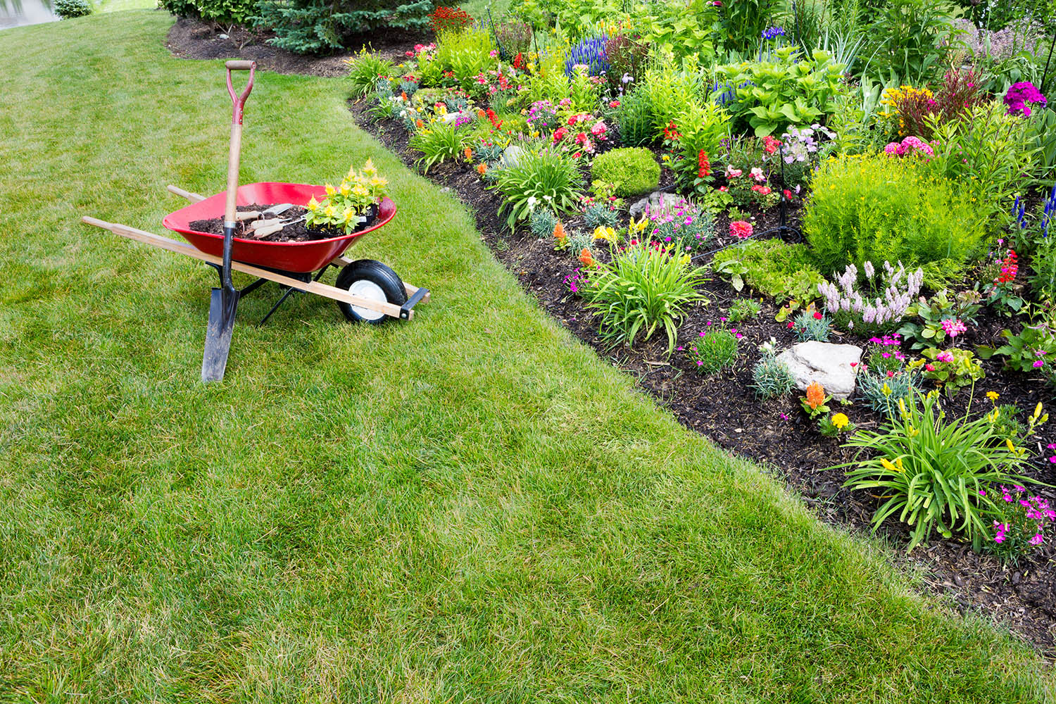 Garden work being done